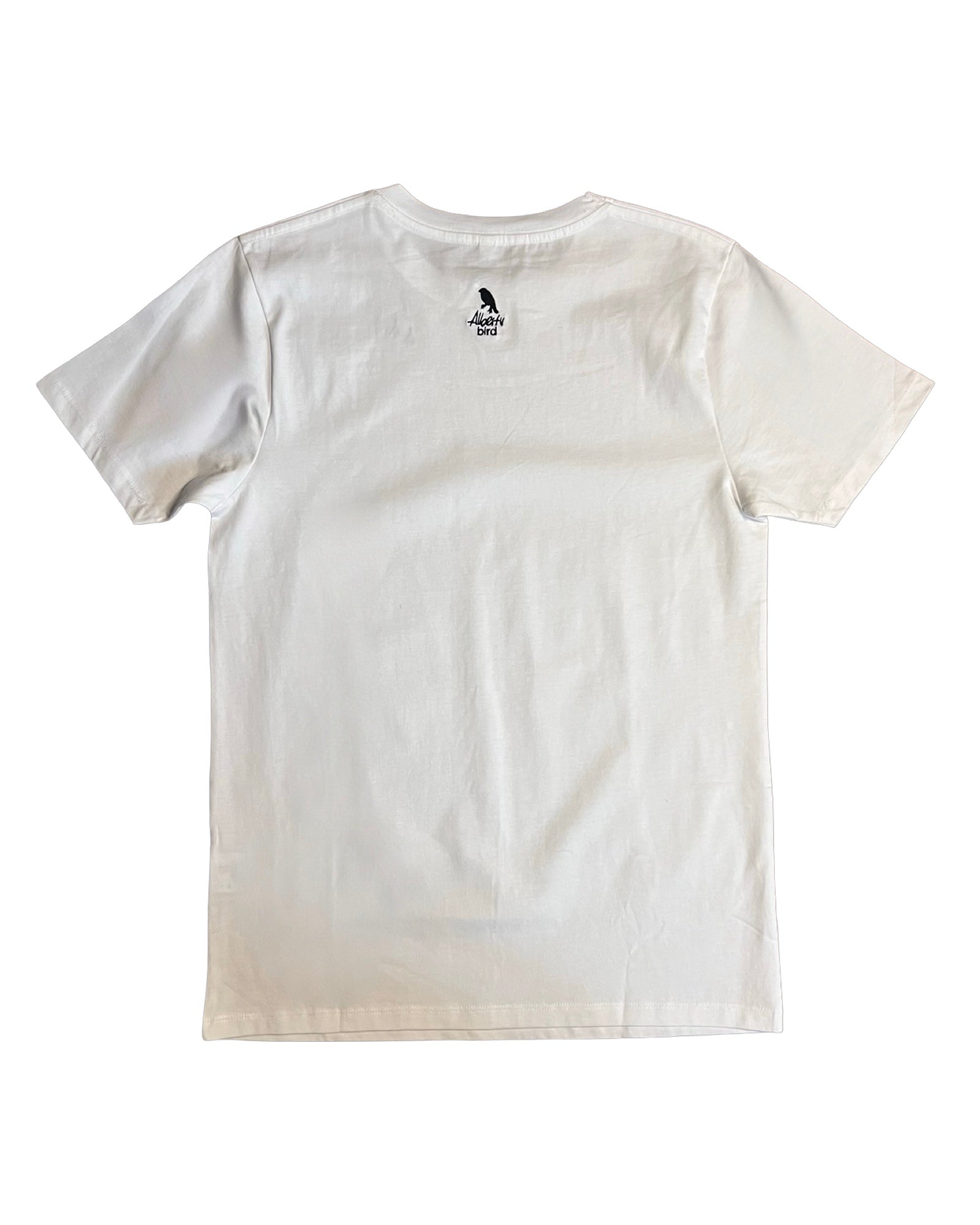 AlbertShirt *Albert‘s Traces*