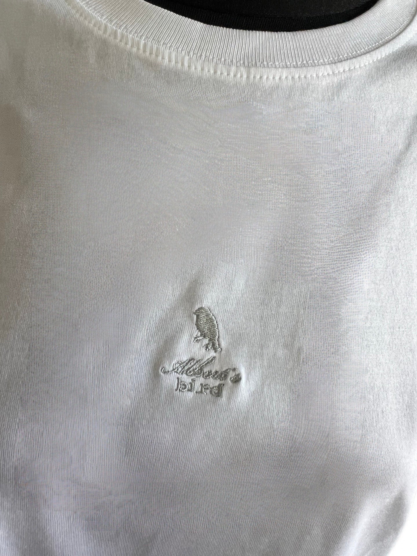 AlbertShirt *Bird*