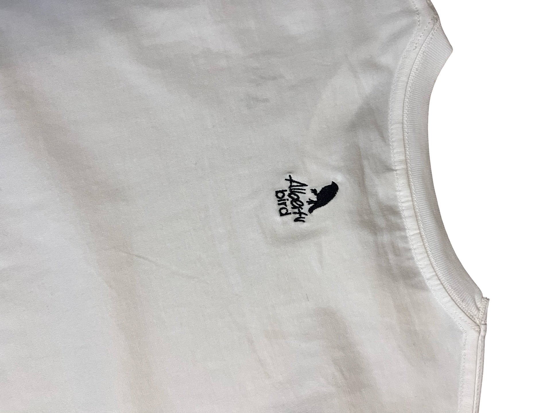 AlbertShirt *Albert‘s Traces*