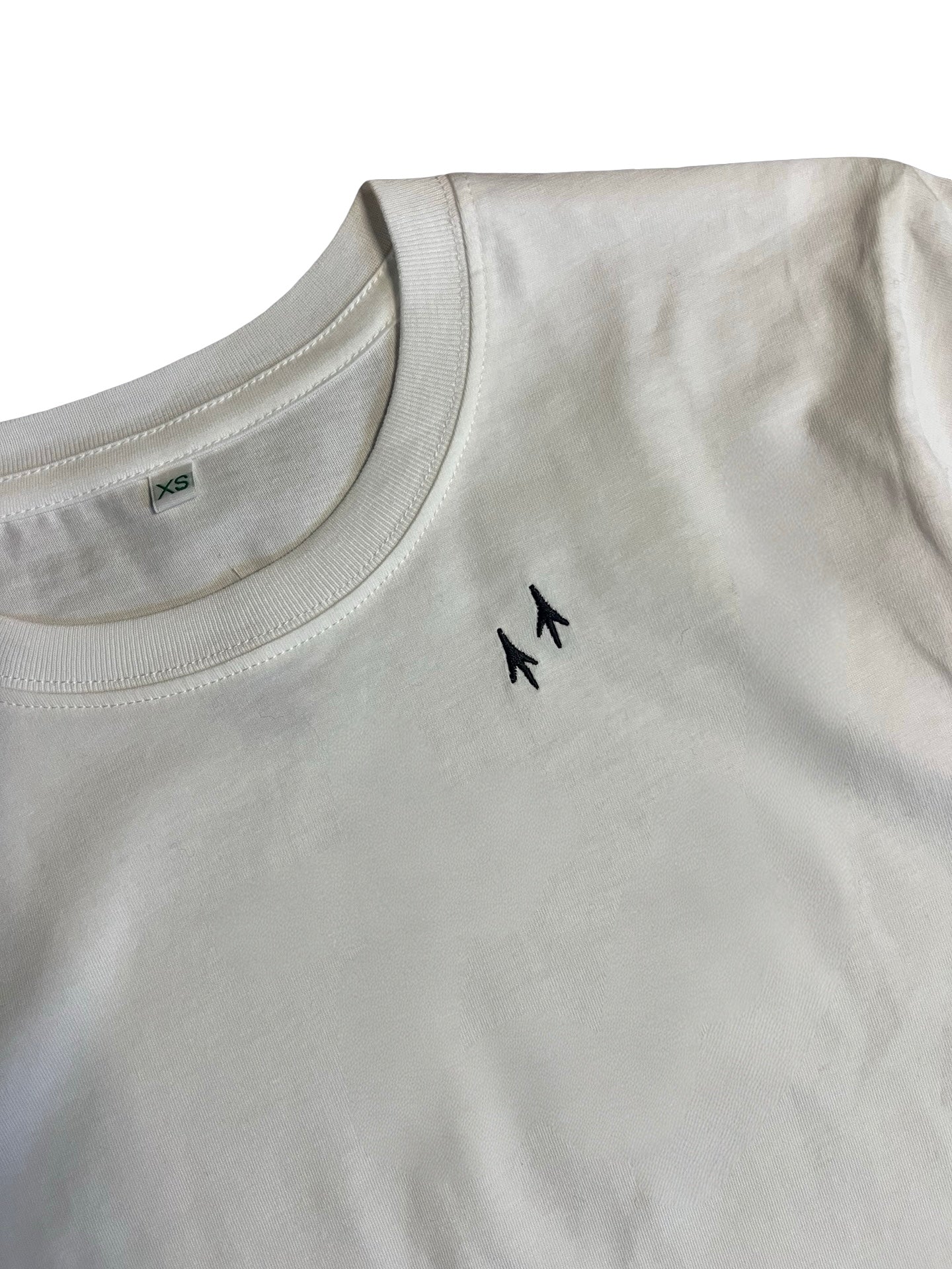 AlbertShirt *Albert‘s Traces*
