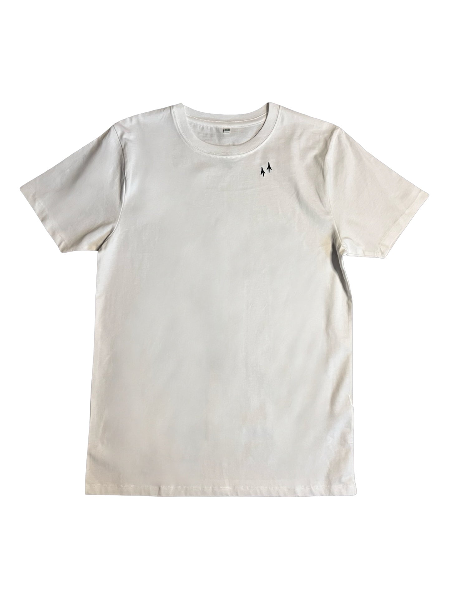 AlbertShirt *Albert‘s Traces*